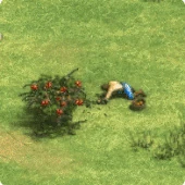 Food Age of Empires II game guide artwork