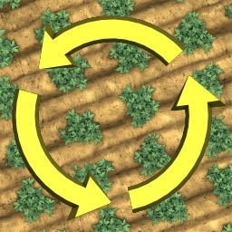 Crop Rotation Age of Empires II technology icon