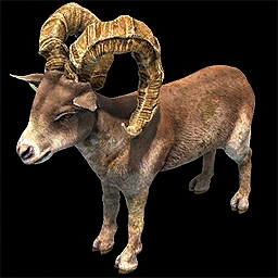 Argali Age of Empires II unit icon