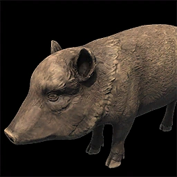 Javelina Age of Empires II unit icon
