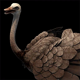 Rhea Age of Empires II unit icon