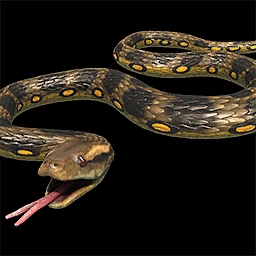 Snake Age of Empires II unit icon