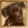 Stormy Dog Age of Empires II unit icon