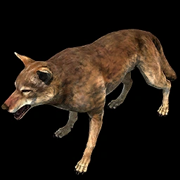 Arabian Wolf Age of Empires II unit icon