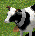 Cow Age of Empires II unit icon