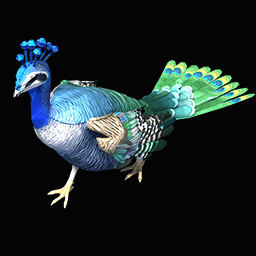 Peacock Age of Empires II unit icon