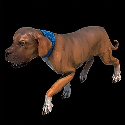War Dogs Age of Empires II unit icon