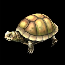 Box Turtles Age of Empires II unit artwork