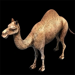 Camel Age of Empires II unit artwork