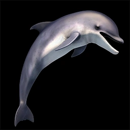 Dolphin Age of Empires II unit artwork