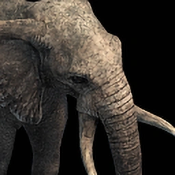 Elephant Age of Empires II unit artwork