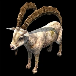 Ibex Age of Empires II unit artwork
