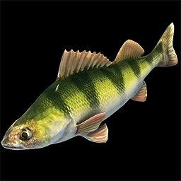 Perch Age of Empires II unit artwork