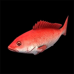 Snapper Age of Empires II unit artwork