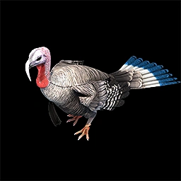 Turkey Age of Empires II unit artwork