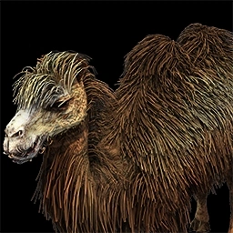 Wild Bactrian Camel Age of Empires II unit artwork