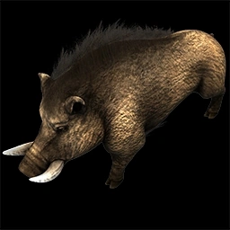 Wild Boar Age of Empires II unit artwork