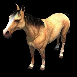 Wild Horse Age of Empires II unit artwork
