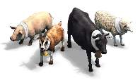 Herdable animal image for Age of Empires II