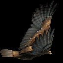 Bird image for Age of Empires II