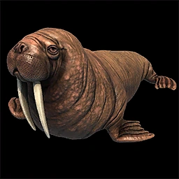Walrus image for Age of Empires II