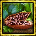 Akan Cocoa Beans