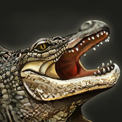 Alligator
