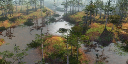 Bayou