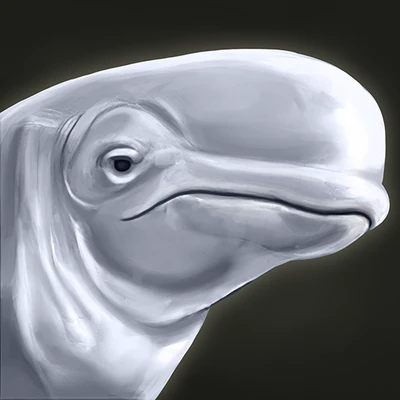 Beluga