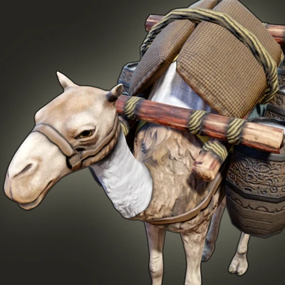 Berber Salt Camel
