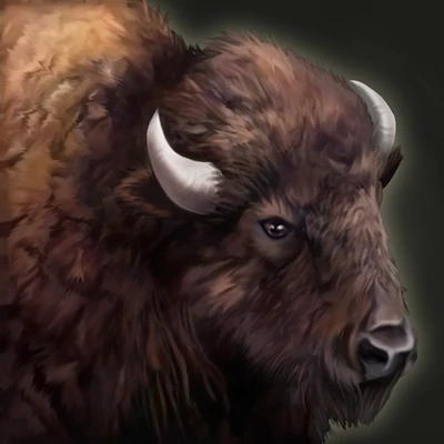 Bison