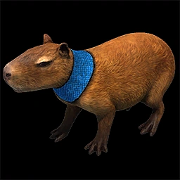 Capybara