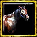 Comanche Horse Breeding