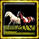 Comanche Mustangs