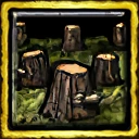 Deforestation