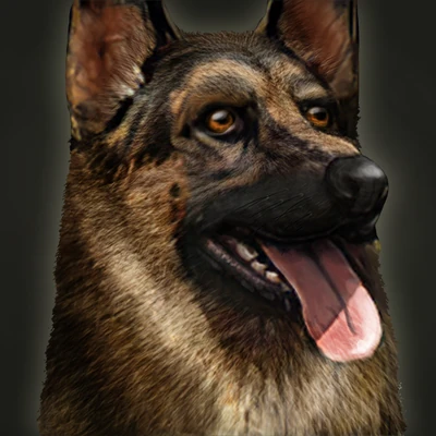 Explorer's Dog