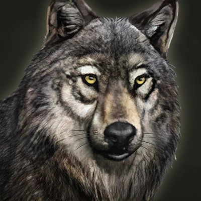 Fang the Tame Coyote