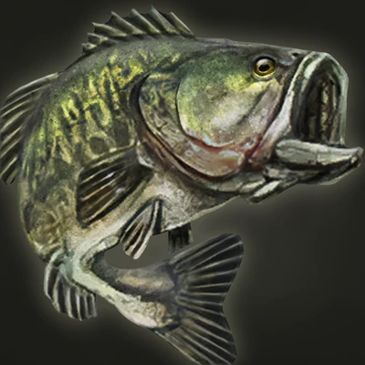 Fish - Bass; Fish - Moon Bass