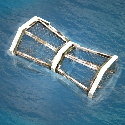 Fish Trap