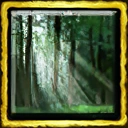 Forest Spirit Ceremony