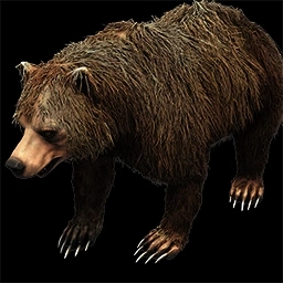 Honcho the Pet Grizzly Bear