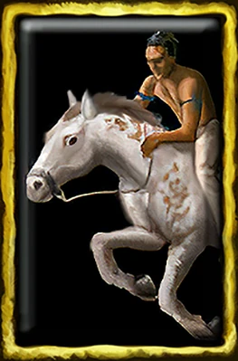 Horse Secrets