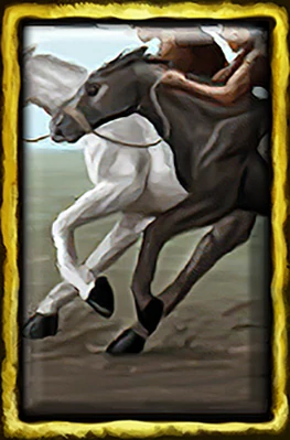 Horsemanship