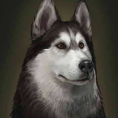Husky