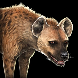 Hyena