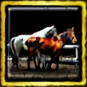 Lakota Horse Trading
