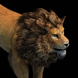 Lhota the Pet Lion