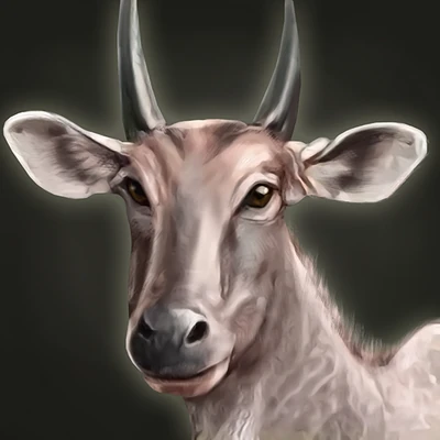 Nilgai