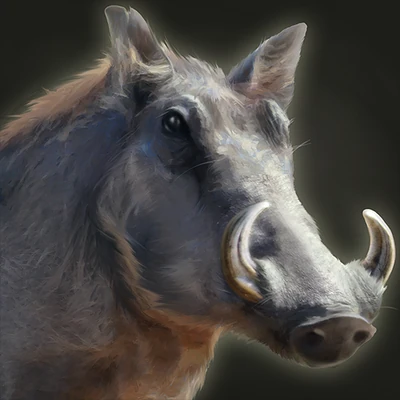 Pambuu the Tame Warthog