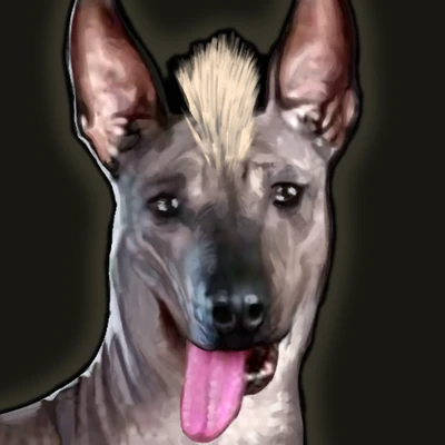 Peruvian Dog